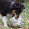 Septembre 2006 : Cheyenne (3 mois et demi) et son ballon.