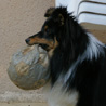 8 mars 2007 : Cheyenne (9 mois et demi) et son ballon ador !
