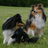 6 mai 2007  Maule (78) : Cheyenne et Yukari prennent la pose.