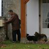 Nol 2006 chez mes grands-parents, en Charente : les toutounes observent mon grand-pre qui va chercher le courrier. ;)