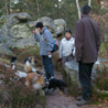 3 janvier 2009, fort des Trois Pignons. Mli-mlo de chiens dans les rochers. ;)