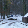 3 décembre 2010 : Parking de la forêt des Grands Avaux à Champcueil (91), où nous nous rendons régulièrement en balade.