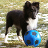 11 janvier 2009 : Lorelei, future petite footballeuse. ;)